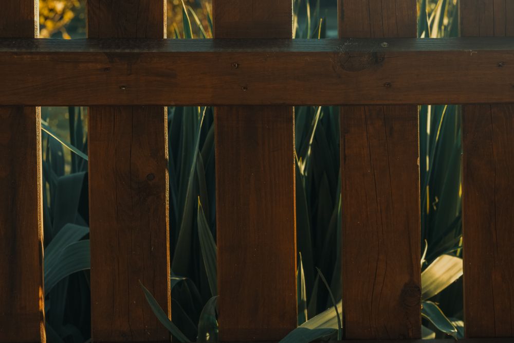 A warm, freshly stained wood picket fence in a backyard garden